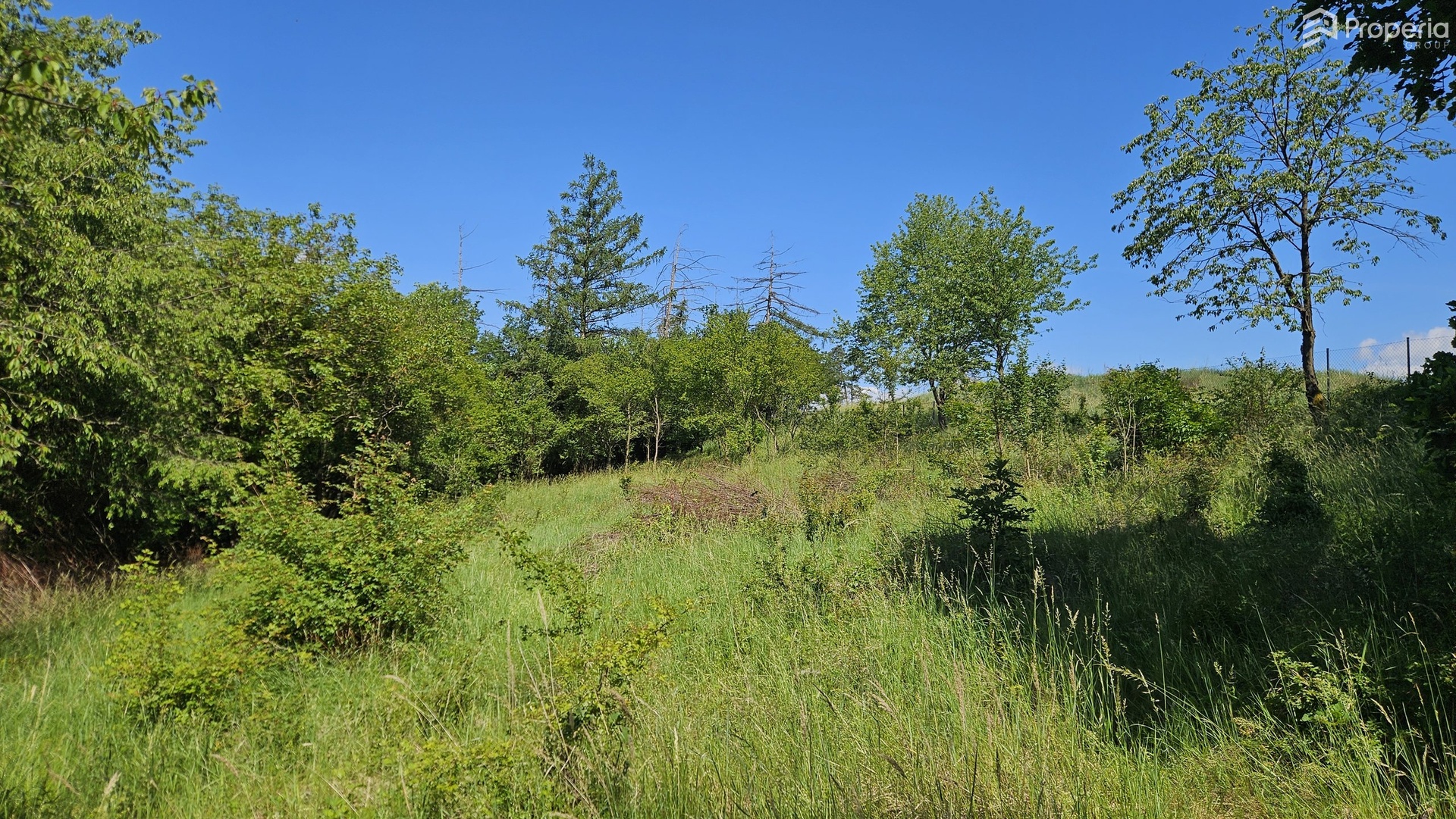Prodej stavebního pozemku 1 845 m², Letovice - Zboněk